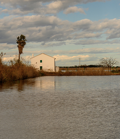 Albufera